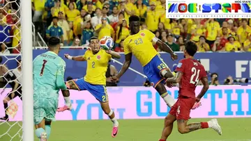 Fifa World Cup