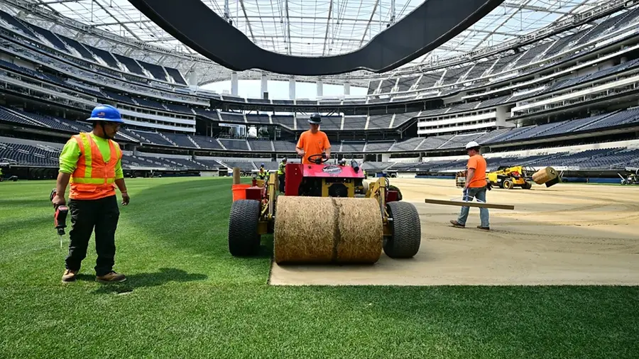 fifa pitches