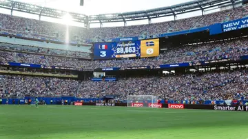 fifa pitch grass