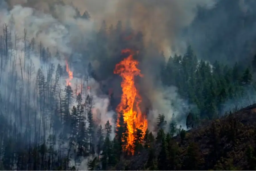 fire