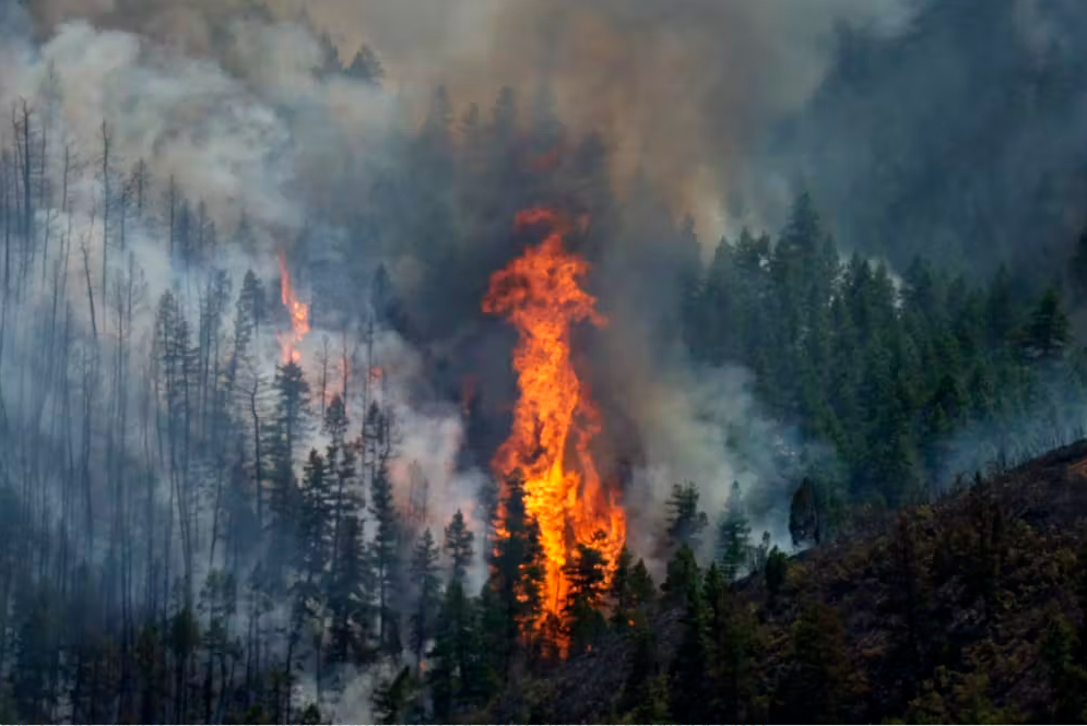 fire