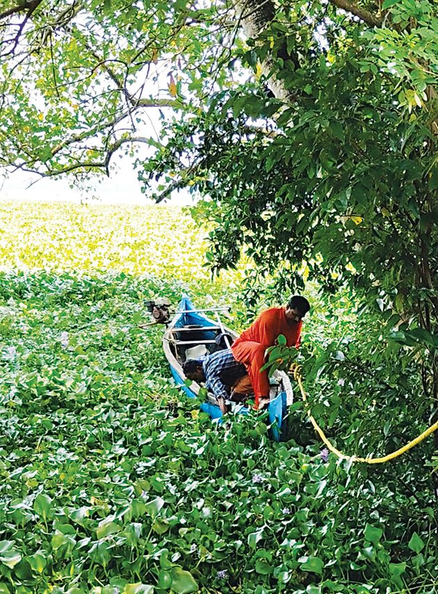 വേമ്പനാട്‌ കായലിലെ പോളപ്പായലിൽ  കുടുങ്ങിയവരെ അഗ്നിരക്ഷാസേന കരകയറ്റുന്നു