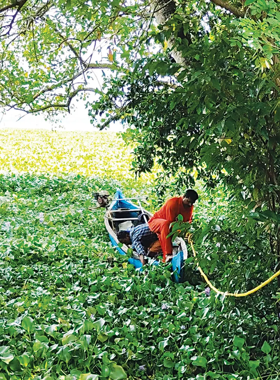 വേമ്പനാട് കായലിലെ പോളപ്പായലിൽ
കുടുങ്ങിയവരെ അഗ്നിരക്ഷാസേന കരകയറ്റുന്നു