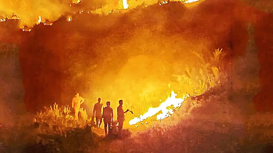 fire kulazhupuzha