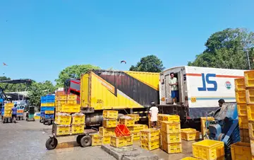 അനധികൃതമായി പിടിച്ചെടുത്ത വളം മത്സ്യം ലോറികളിൽ കയറ്റുന്നു. ബുധൻ രാവിലെ ബേപ്പൂർ ഹാർബറിൽ നിന്നുള്ള ദൃശ്യം