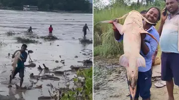 fishing bihar flood