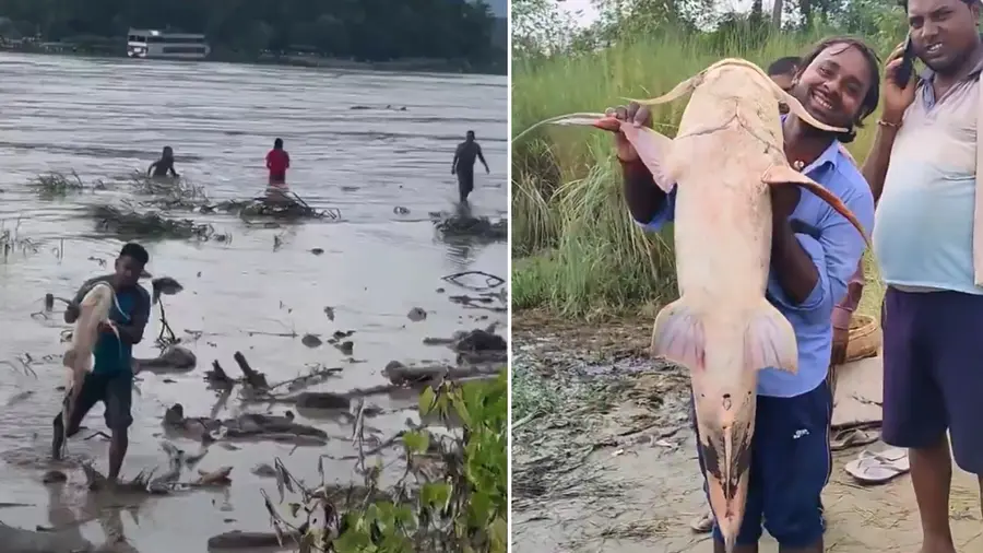 fishing bihar flood