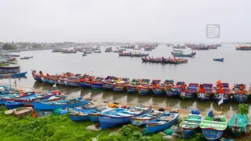 fishing boats