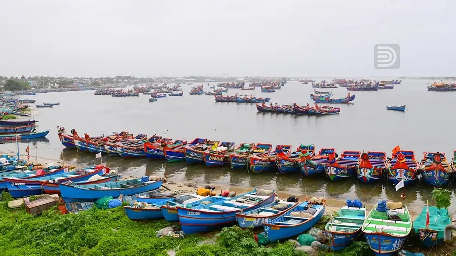 fishing boats