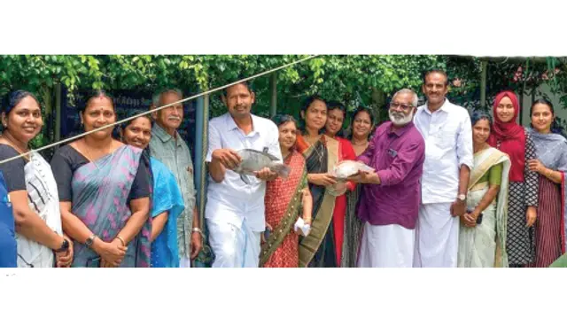 Monsoon fish abundance
