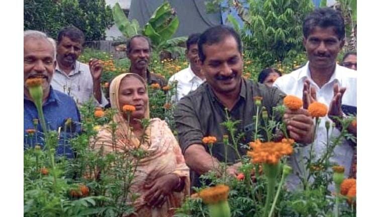 Floriculture