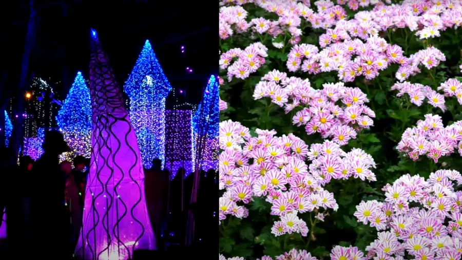 flowershow kanakakkunnu