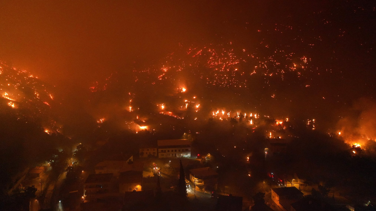 forest fire