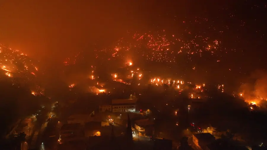 forest fire