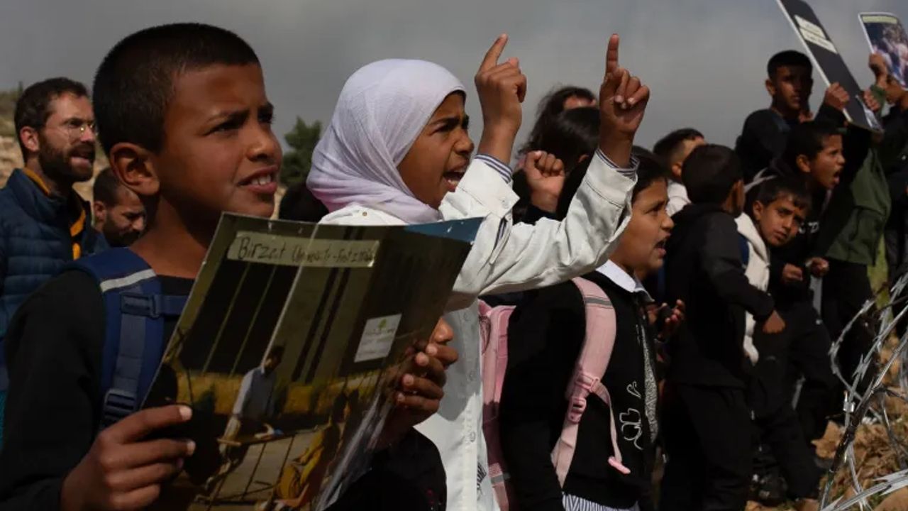 freedom to school 