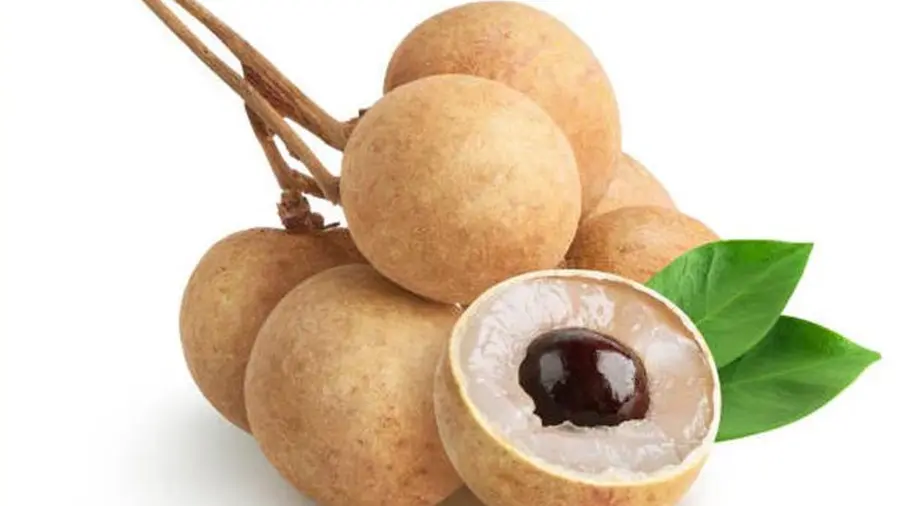 Longan Fruit 