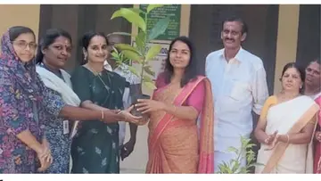 Distributed fruit tree saplings
