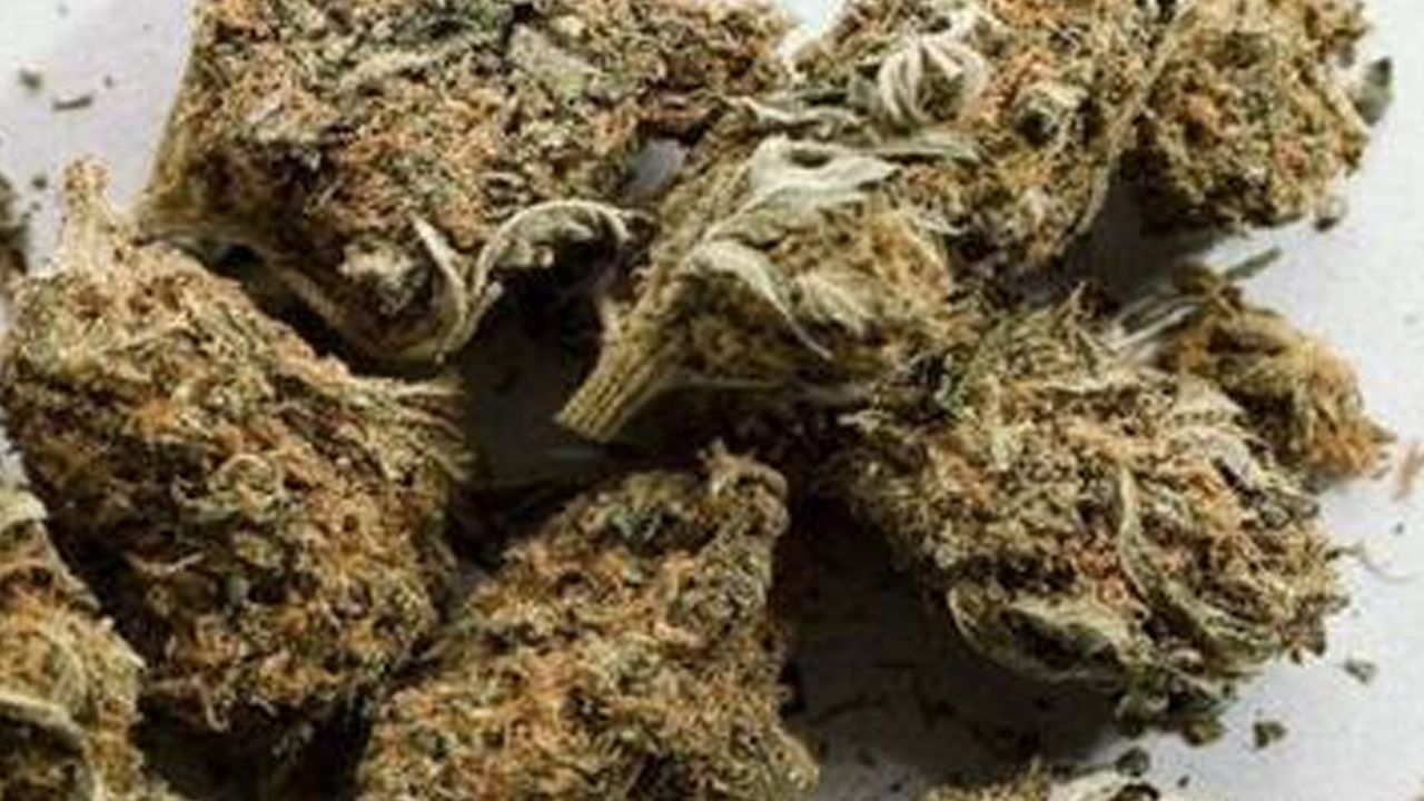 ganja