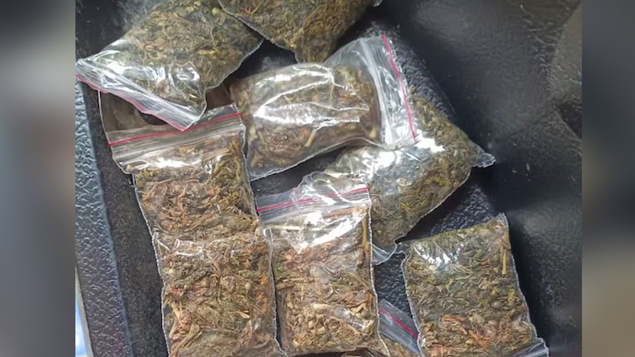 ganja