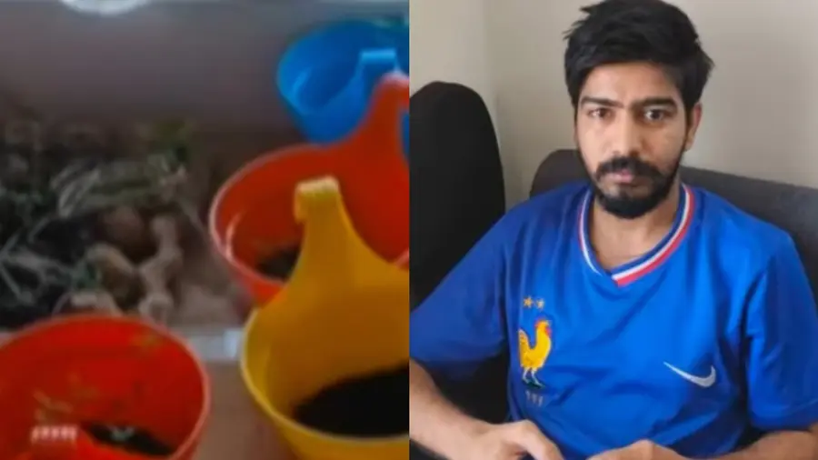 ganja