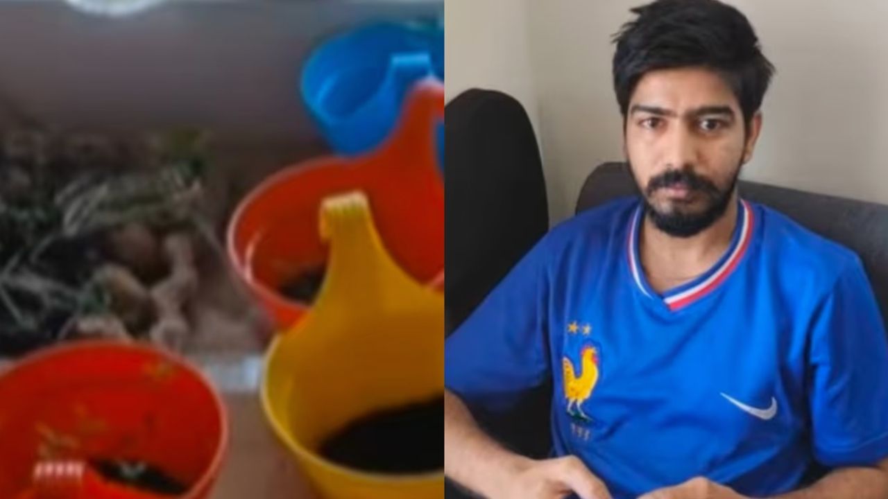ganja
