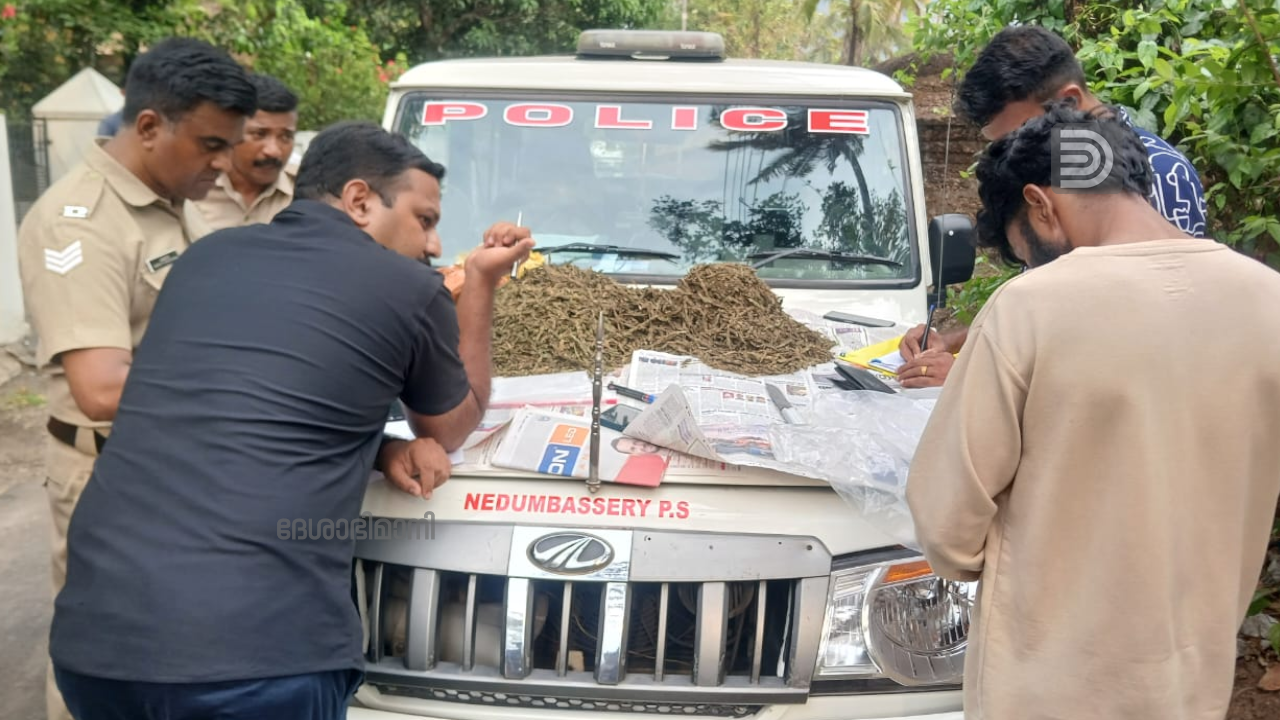 ganja seized angamaly
