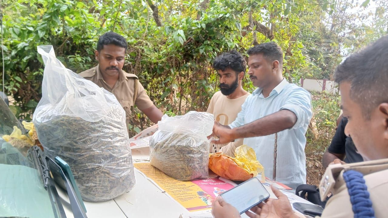 ganja seized from angamaly