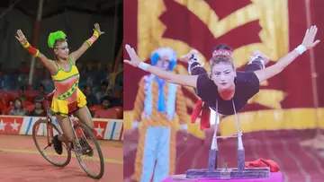 gemini circus