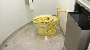 gold toilet