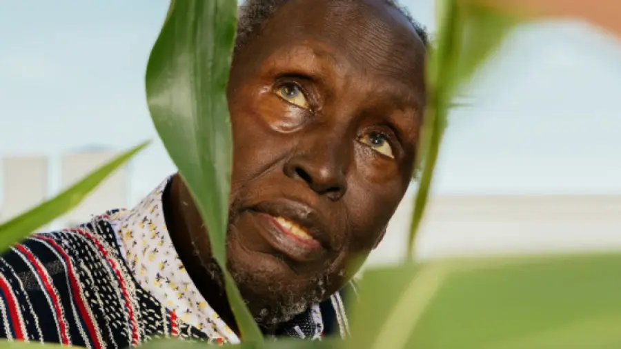 googi vaa tiyango