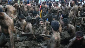 gore habba