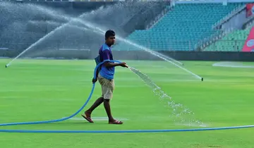 India New Zealand Cricket