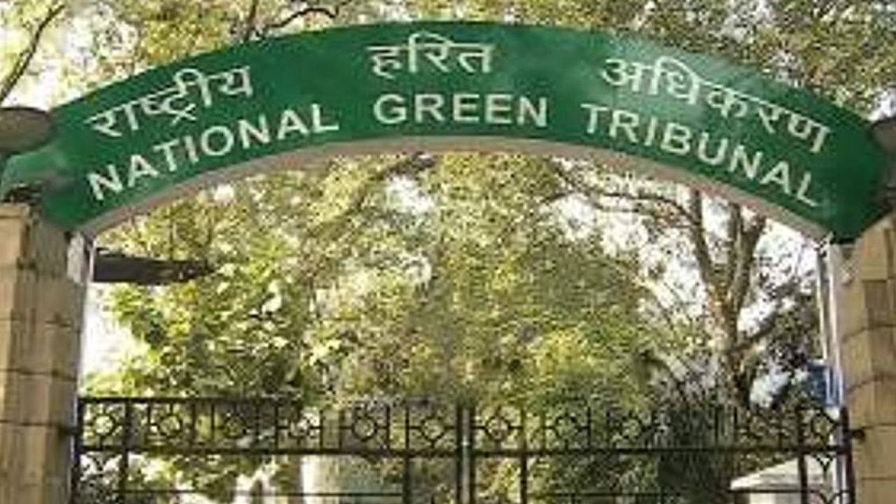 green tribunal