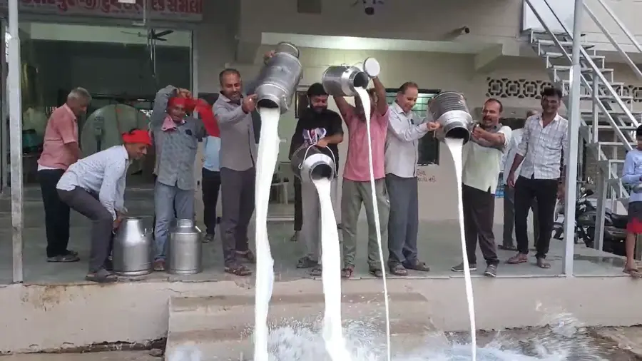 Gujarat dairy farmers