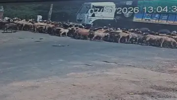 gujarat