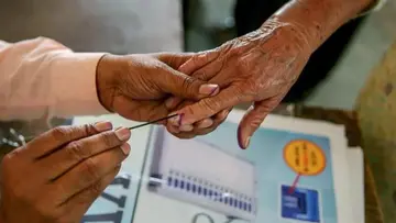 gujarat local elections