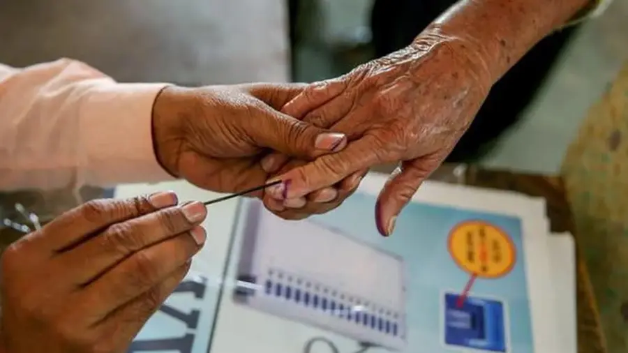 gujarat local elections