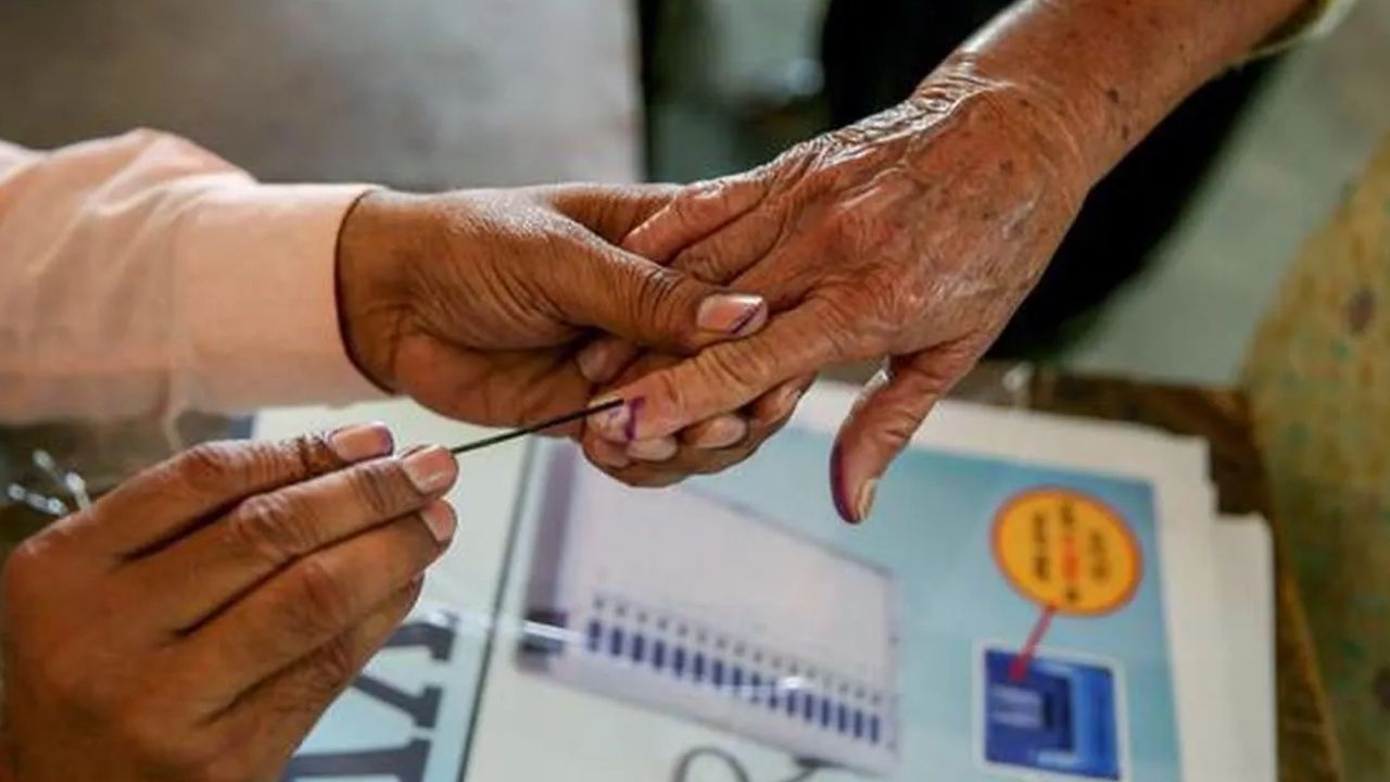 gujarat local elections