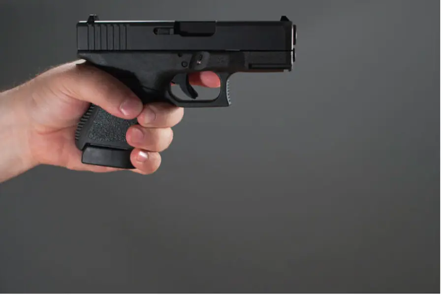 Gun
