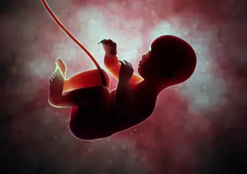 death of a sufficiently developed foetus