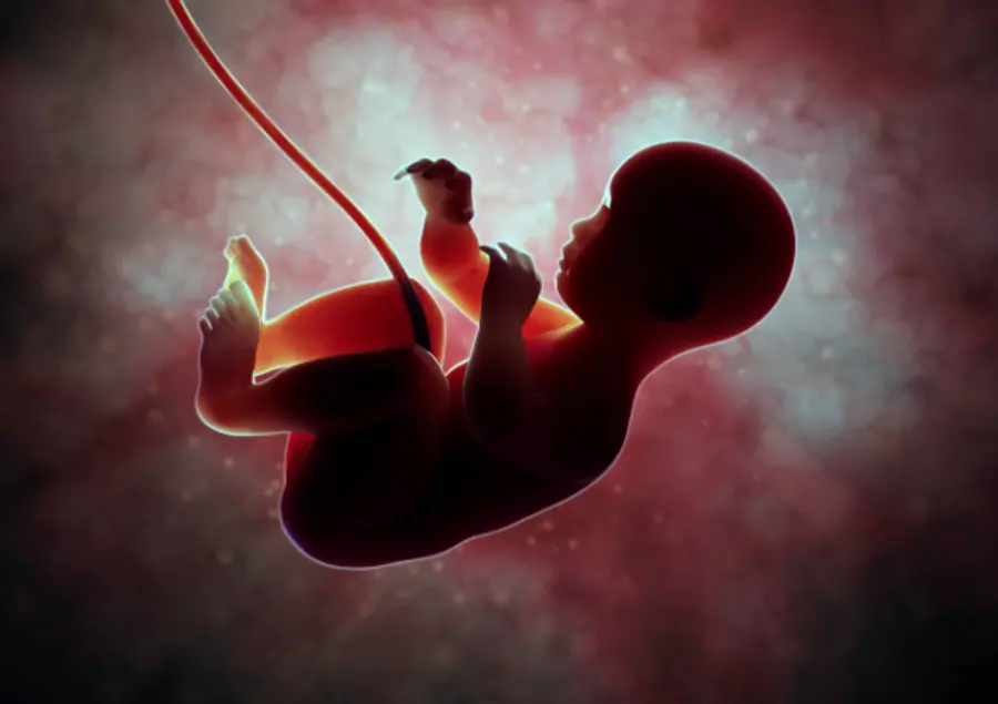 death of a sufficiently developed foetus