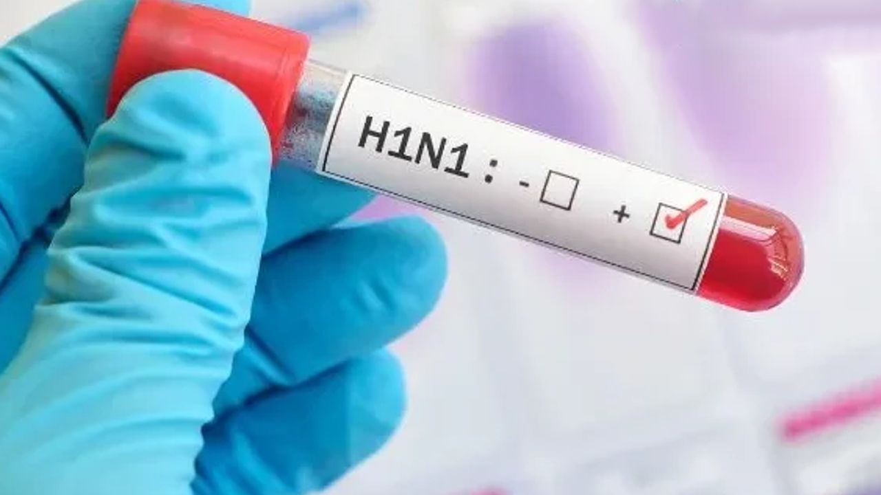 h1n1