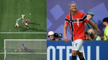 halland new.JPG