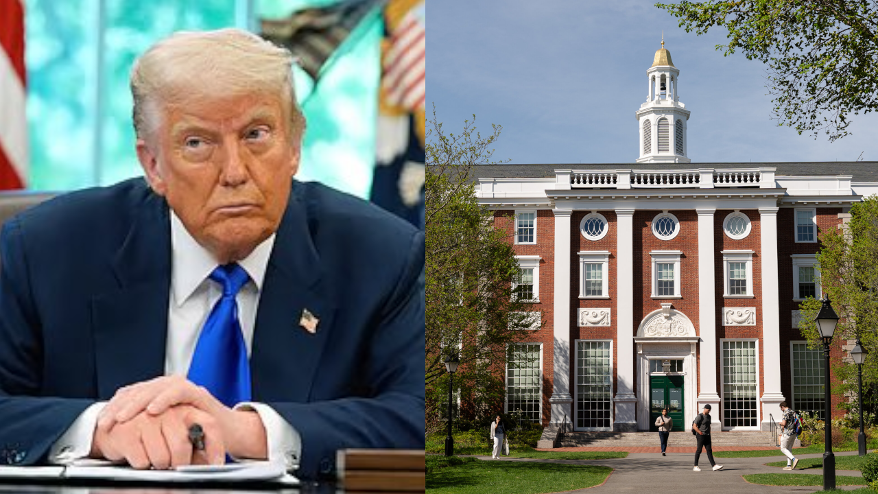 hardvard university