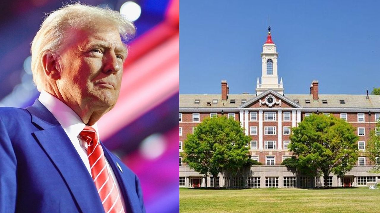 harvard trump