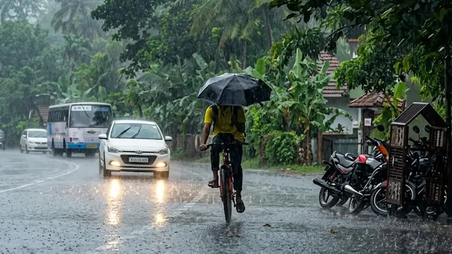 heavy rain alert