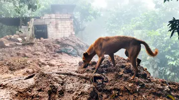 heavy rainfall Kerala.jpg