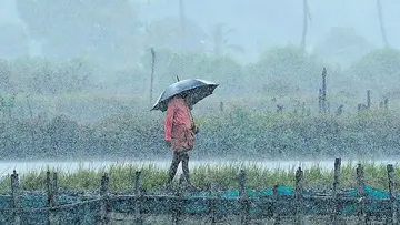 Heavy rain kerala