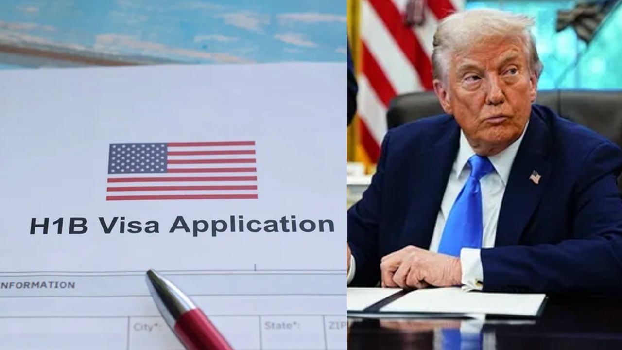 hib visa application
