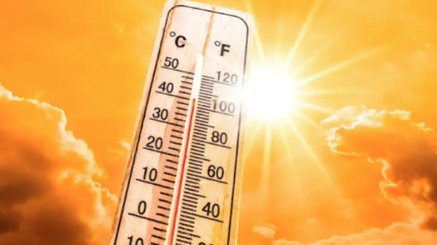 hottest-year